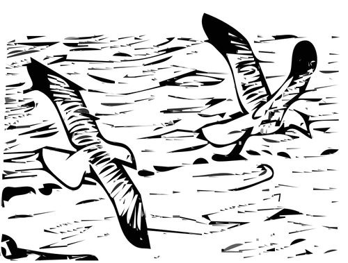 Vector illustration of departing gulls